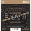 Struny D'ADDARIO Pro-Arte Black Nylon EJ50 Hard